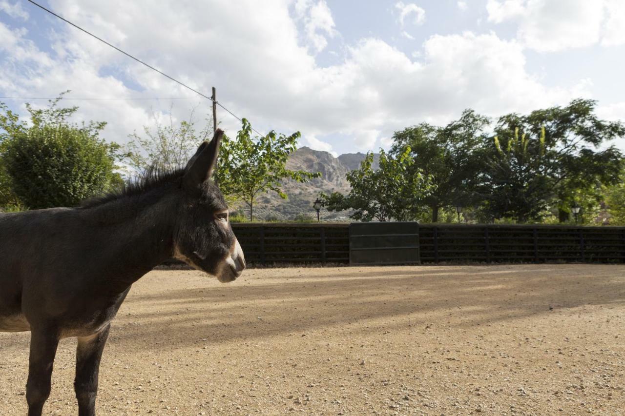 Cortijo La Algallumbilla Carcabuey Εξωτερικό φωτογραφία