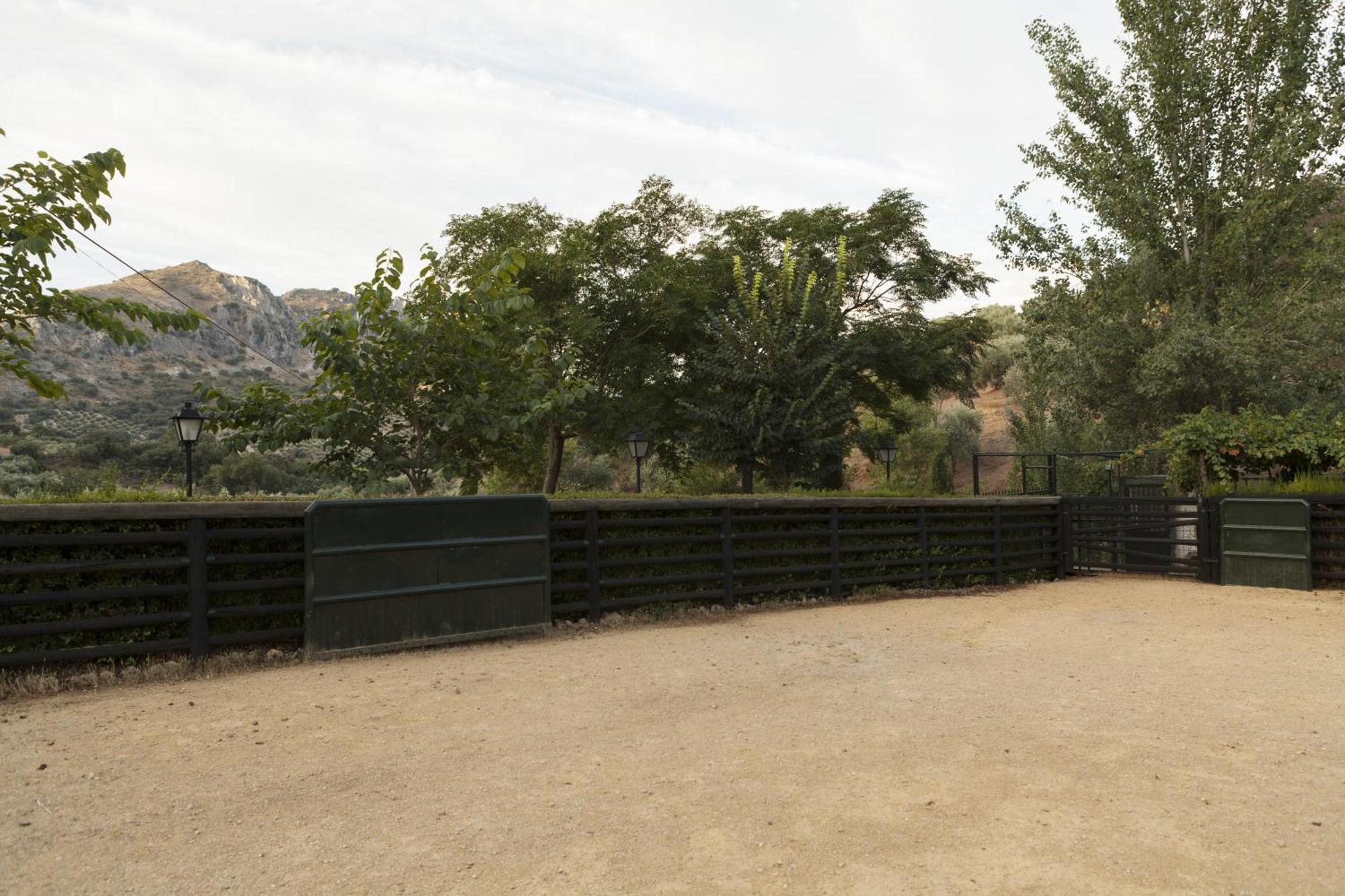 Cortijo La Algallumbilla Carcabuey Εξωτερικό φωτογραφία